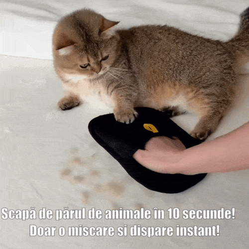 Mănușa Magică pentru Blana Animalelor
